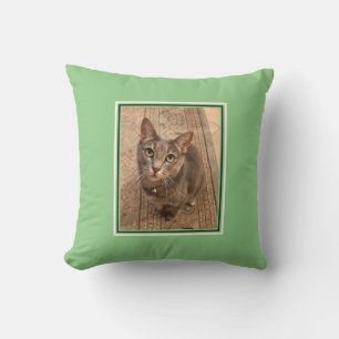 Pet Photo Customisé Coussin de chat