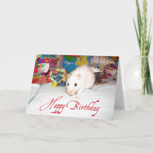 Pet Rat Marta Carte Anniversaire