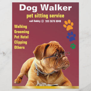 Pet Sitting Service Chien Walker Fiable Circulaire