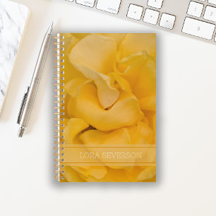 Pétales à fleurs de rose jaune