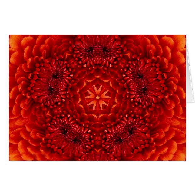 PÉTALES DE FLEUR DE DAHLIA ROUGE (Devant horizontal)
