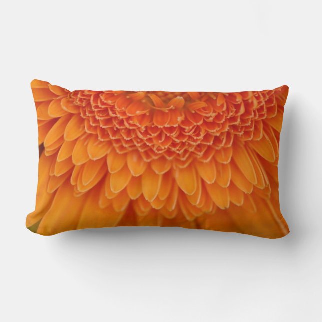 Pétales de fleurs Coussins américains MoJo (Recto)