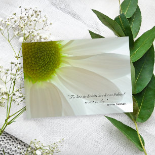 Pétales de marguerite blanche Merci pour votre sym