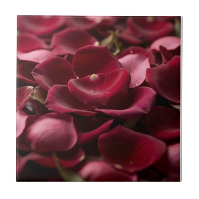 Pétales de rose rouge profond Carreau en céramique (Devant)