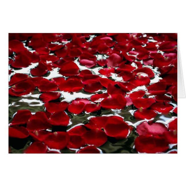 PÉTALES DE ROSE SUR L'EAU (Devant horizontal)