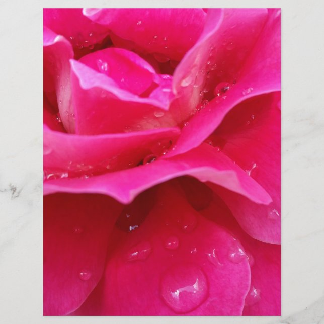 pétales roses (Devant)
