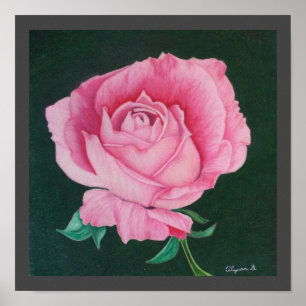 Pétales roses Impression 12 po x 12 po