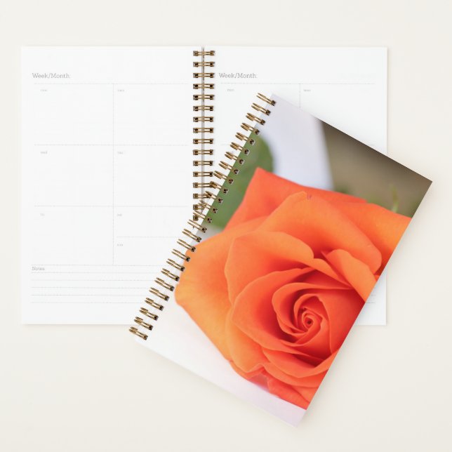 Pétales Roses orange Fleur Floral (Devant avec enveloppe)