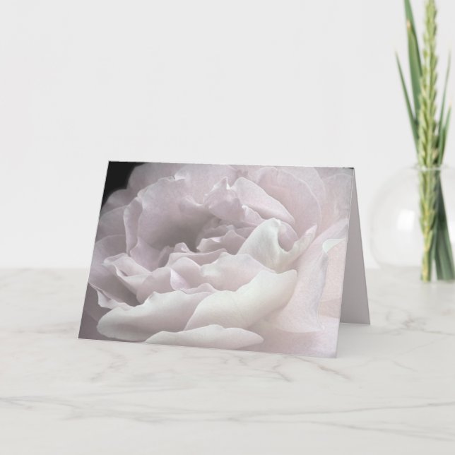 Pétales Roses Pâles, Carte de voeux Vide (Devant)