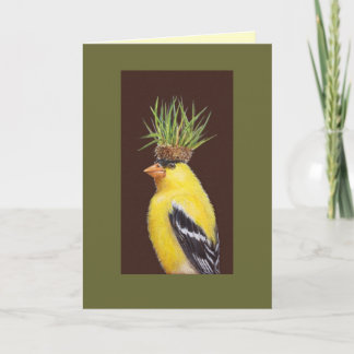 Pete la carte goldfinch