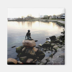 petit aimant de sirène