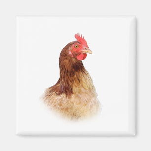 Petit aimant rouge de poule