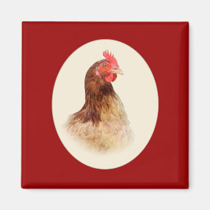 Petit aimant rouge de poule