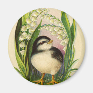 Petit aimant vintage Little Bird
