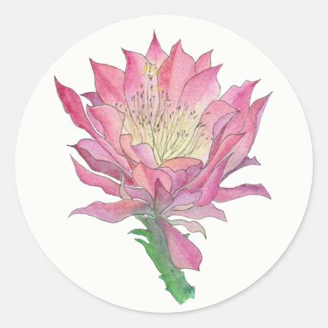 Petit autocollant rond de fleur rose de cactus (Devant)