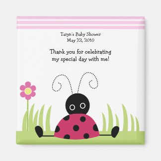 Petit Baby shower de coccinelle / Aimant favori d'