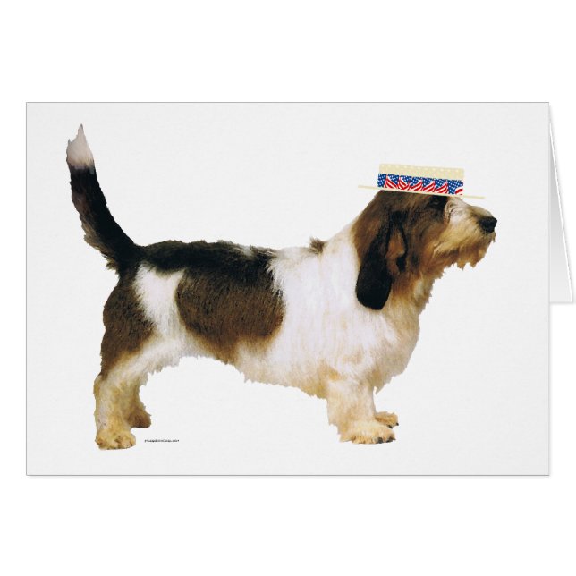 Petit Basset Griffon Vendeen Patriot (Devant horizontal)
