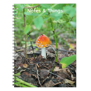 Petit Cahier Champignon de Bois