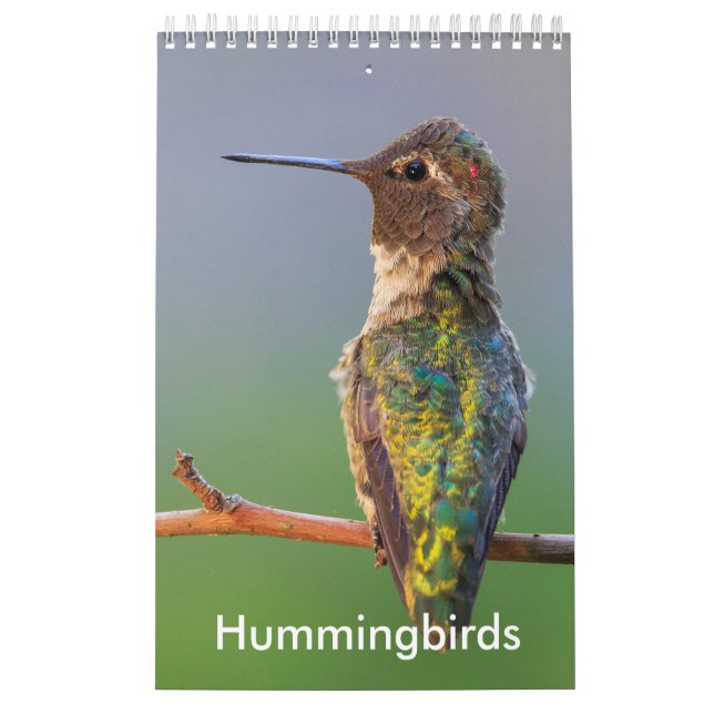 Petit calendrier de colibri (Protection)