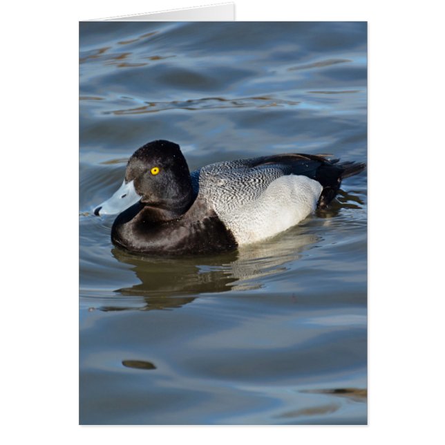 Petit canard à soupe (Devant)
