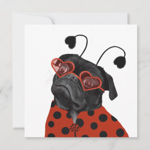 Petit Carlin d'amour   Amateurs de Carlins