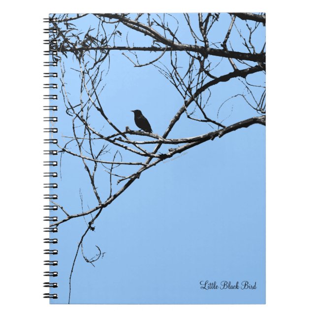 Petit Carnet d'oiseaux noirs (Devant)