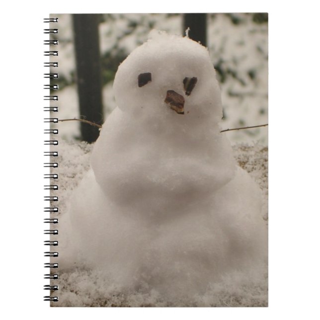 Petit Carnet Snowman (Devant)