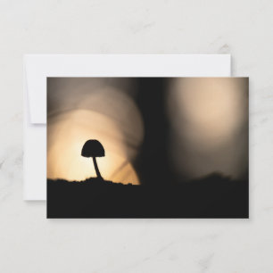Petit Carte photo de la nature des champignons