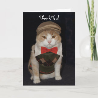 Petit chat Gentleman en Merci de  de Jacquard