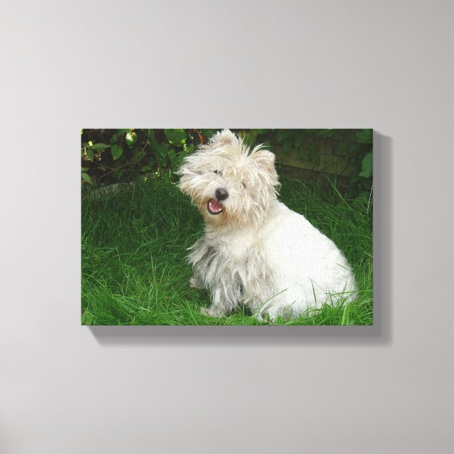 Petit chien blanc sur toile (Recto)