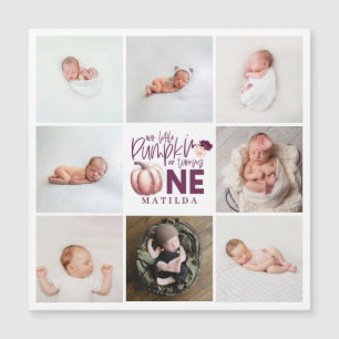 petit citrouille violet 1er anniversaire multi pho