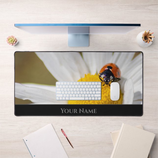 Petit coccinelle de chance pour un état d'esprit p (Bureau 1)