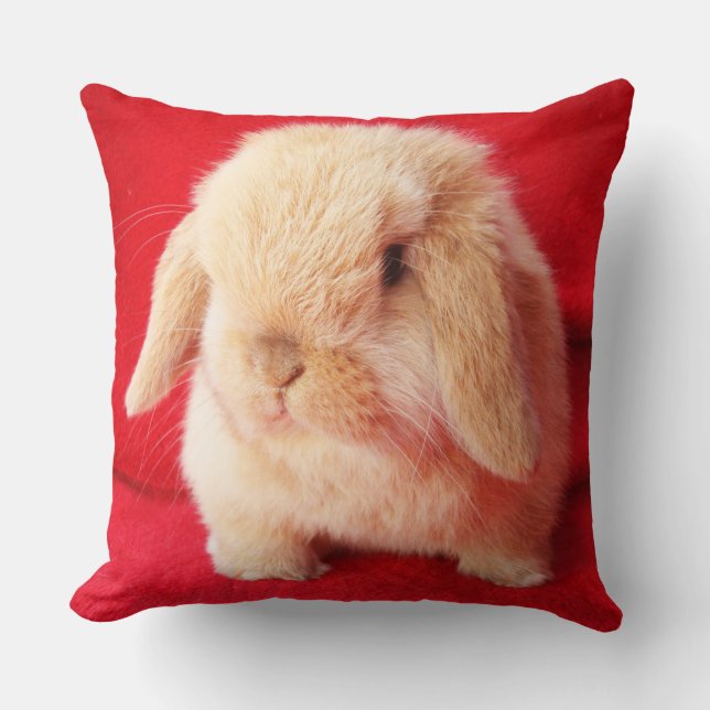 Petit Coussin Bunny (Recto)