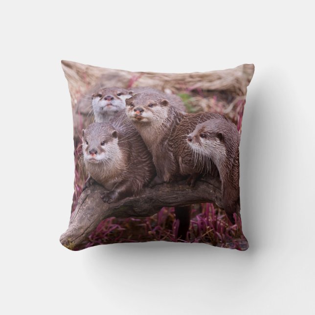 Petit coussin griffé de loutres (Recto)