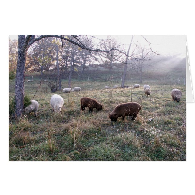 Petit déjeuner à Dawn (Devant horizontal)