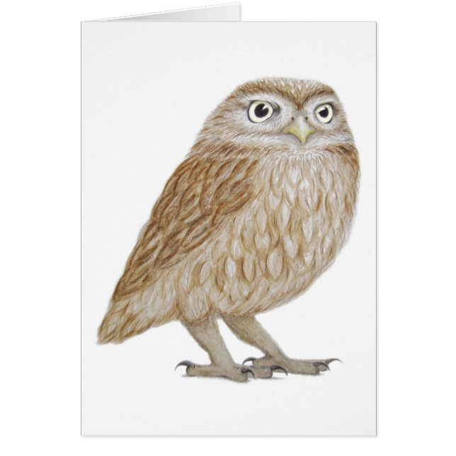 Petit hibou 2011 (Devant)