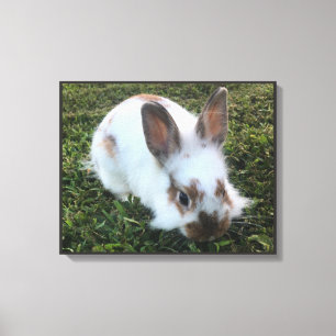Petit lapin mignon dans la toile d'herbe Imprimer