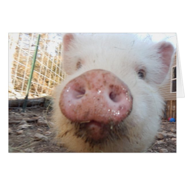 Petit museau de porc personnalisé (Devant horizontal)
