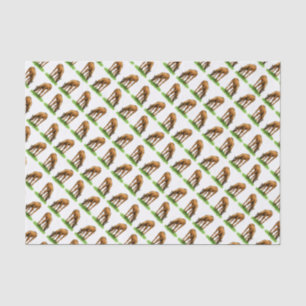 Petit papier de soie de soie de pâturage de