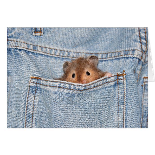 petit peekaboo (Devant horizontal)
