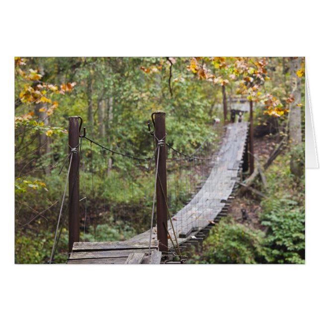 Petit pont suspendu, Patrimoine Charbon National (Devant horizontal)