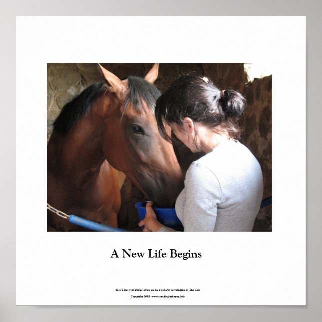 Petit Poster Solo Tour et Darla Jeffery (Devant)