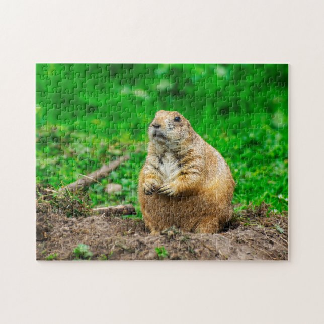 Petit puzzle de chien de prairie à queue noire (Horizontal)