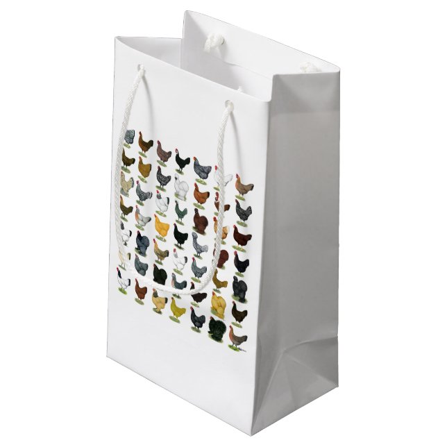 Petit Sac Cadeau 49 poules de poulet (Dos Angle)