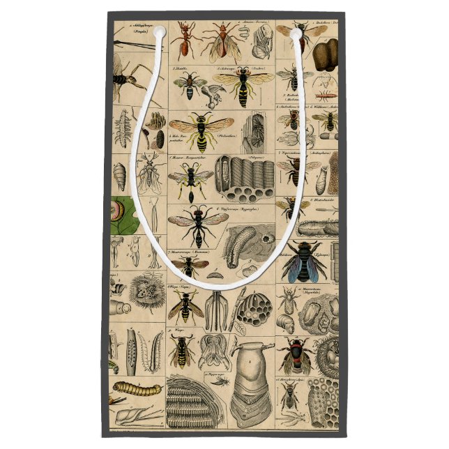 Petit Sac Cadeau Abeille Insecte Bug Wasp Histoire naturelle abeill (Devant)