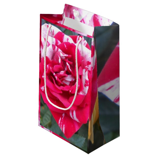 Petit Sac Cadeau Ancienne (Devant Angle)