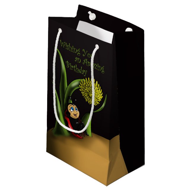 Petit Sac Cadeau Anniversaire de Ladybug (Devant Angle)