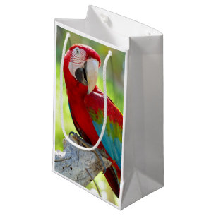 Petit Sac Cadeau Ara se reposant sur la branche
