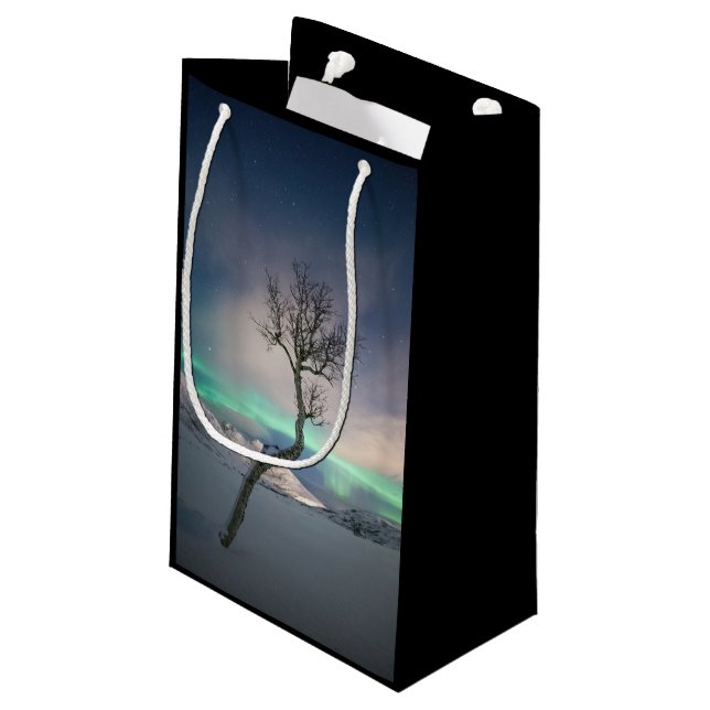 Petit Sac Cadeau Arborescence boréale (Dos Angle)