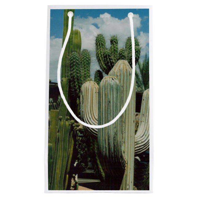 Petit Sac Cadeau Arizona Cactus (Devant)